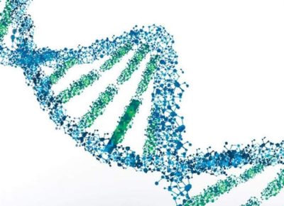 article-echantillon-myadnlab