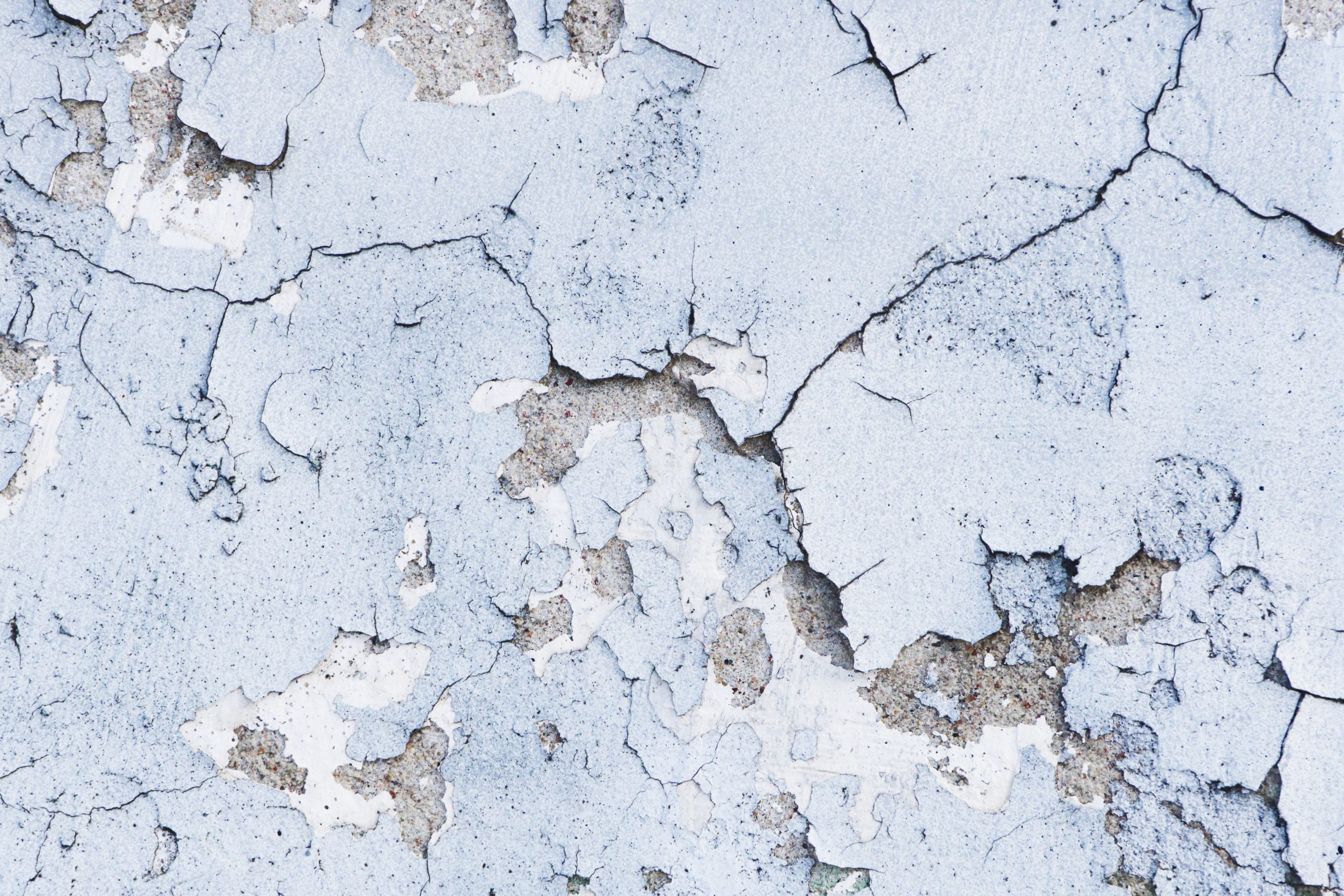 Observation de peinture écaillée présentant une surface irrégulière et fragmentée. La matière se détache en fines plaques superposées, laissant apparaître des fissures et des zones de décollement. Les bords sont rugueux et parfois recourbés, révélant des couches sous-jacentes. L’ensemble forme un motif hétérogène, alternant entre zones adhérentes et parties altérées, avec un contraste marqué entre la peinture restante et le support exposé.